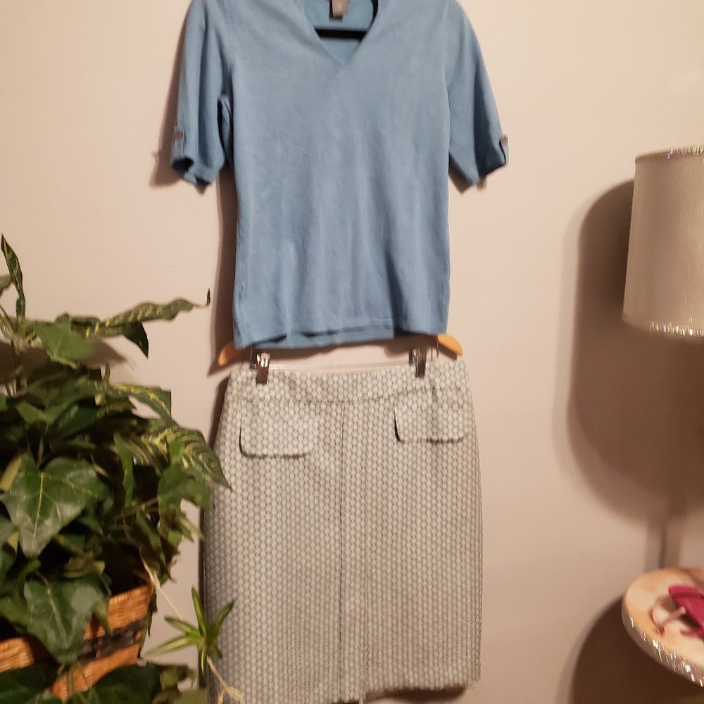 Ann Taylor Sweater and Skirt Set